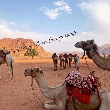 Wadi Rum Rose Luxury Camp ภายนอก รูปภาพ