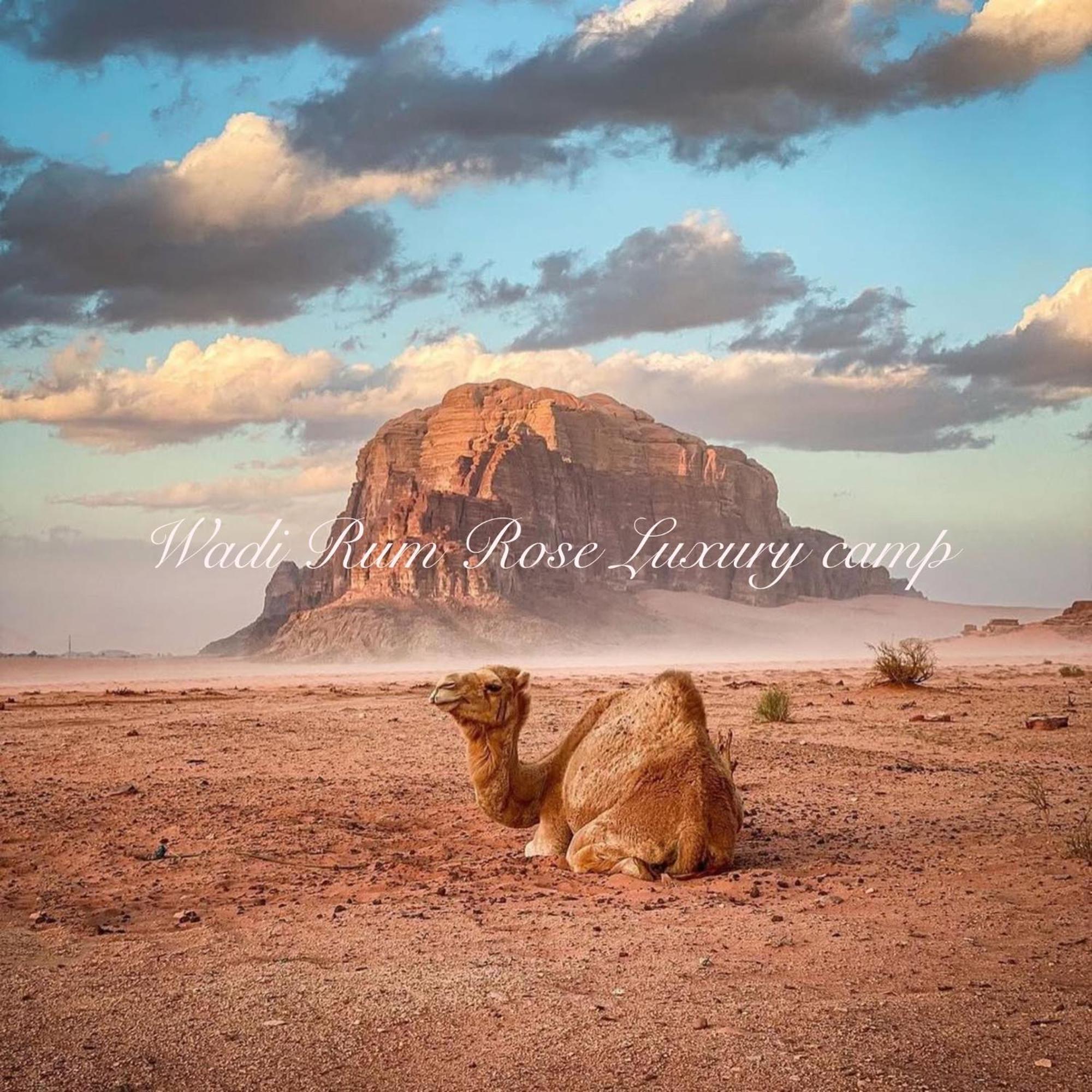 Wadi Rum Rose Luxury Camp ภายนอก รูปภาพ