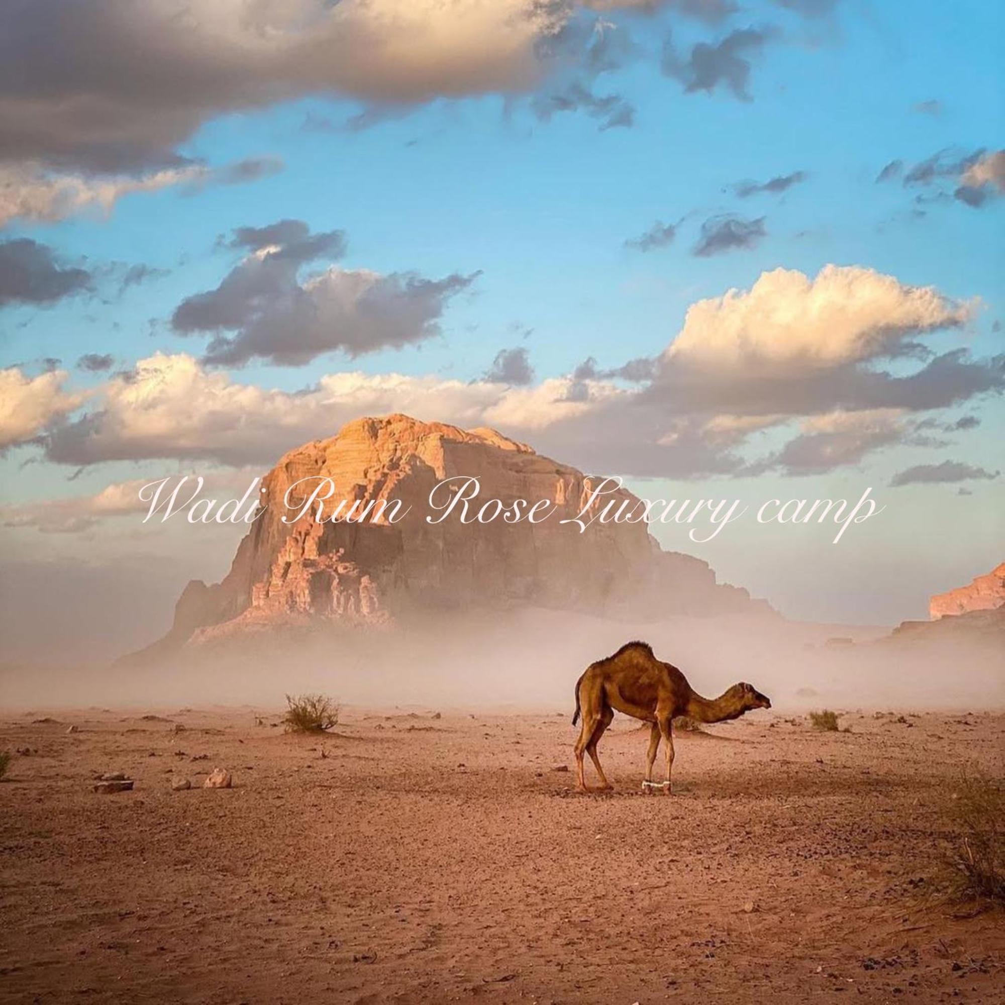 Wadi Rum Rose Luxury Camp ภายนอก รูปภาพ