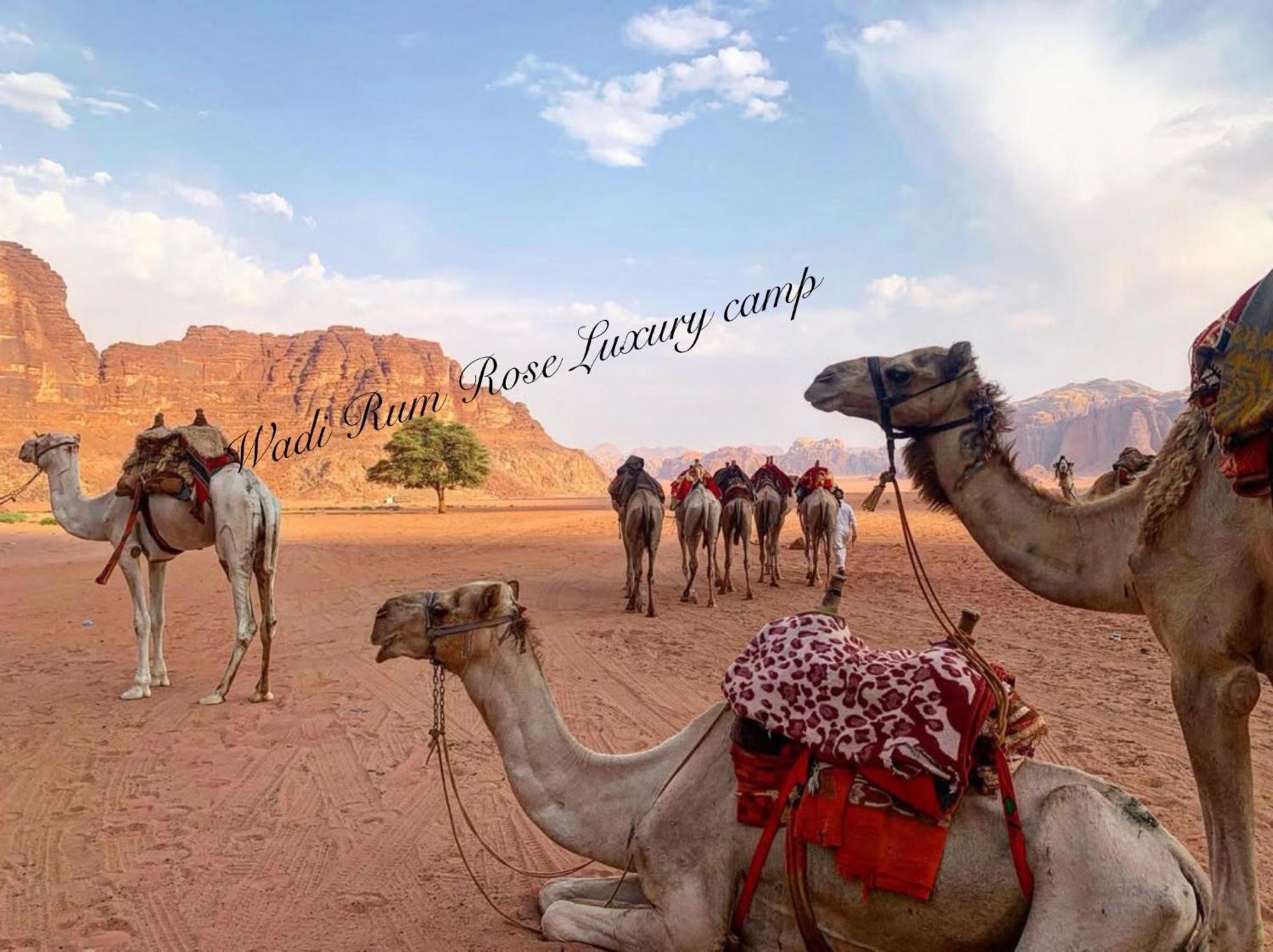 Wadi Rum Rose Luxury Camp ภายนอก รูปภาพ
