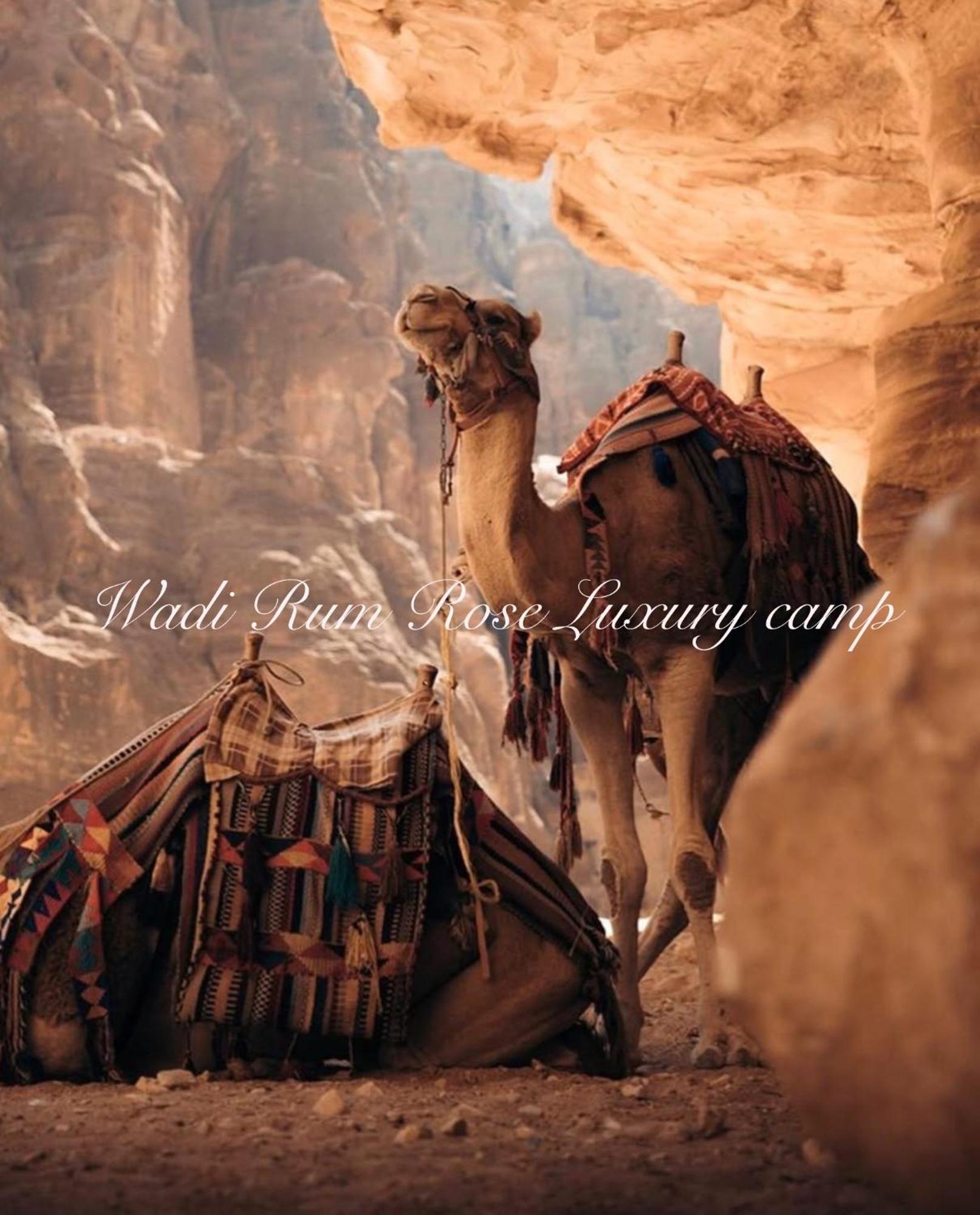 Wadi Rum Rose Luxury Camp ภายนอก รูปภาพ
